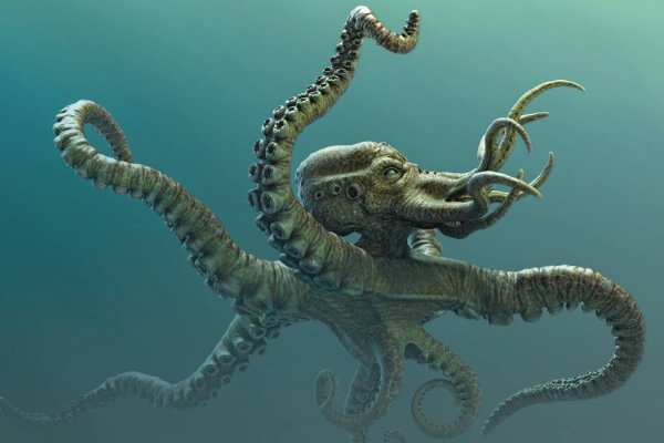 Kraken что это за магазин