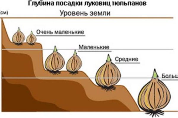 Почему не работает кракен