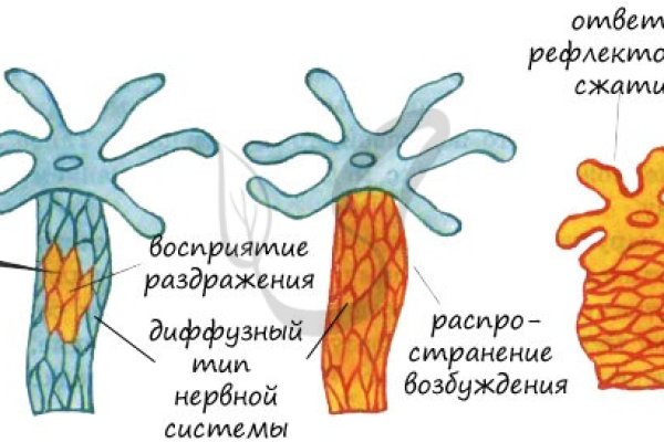 Кракен шоп даркнет